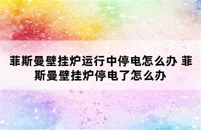 菲斯曼壁挂炉运行中停电怎么办 菲斯曼壁挂炉停电了怎么办